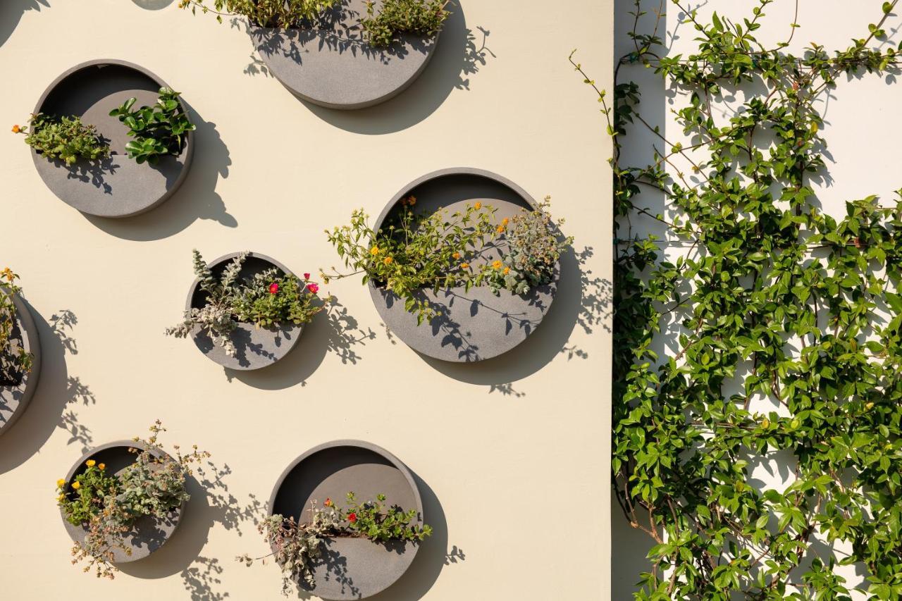 Alkima Athens Hotel Екстериор снимка